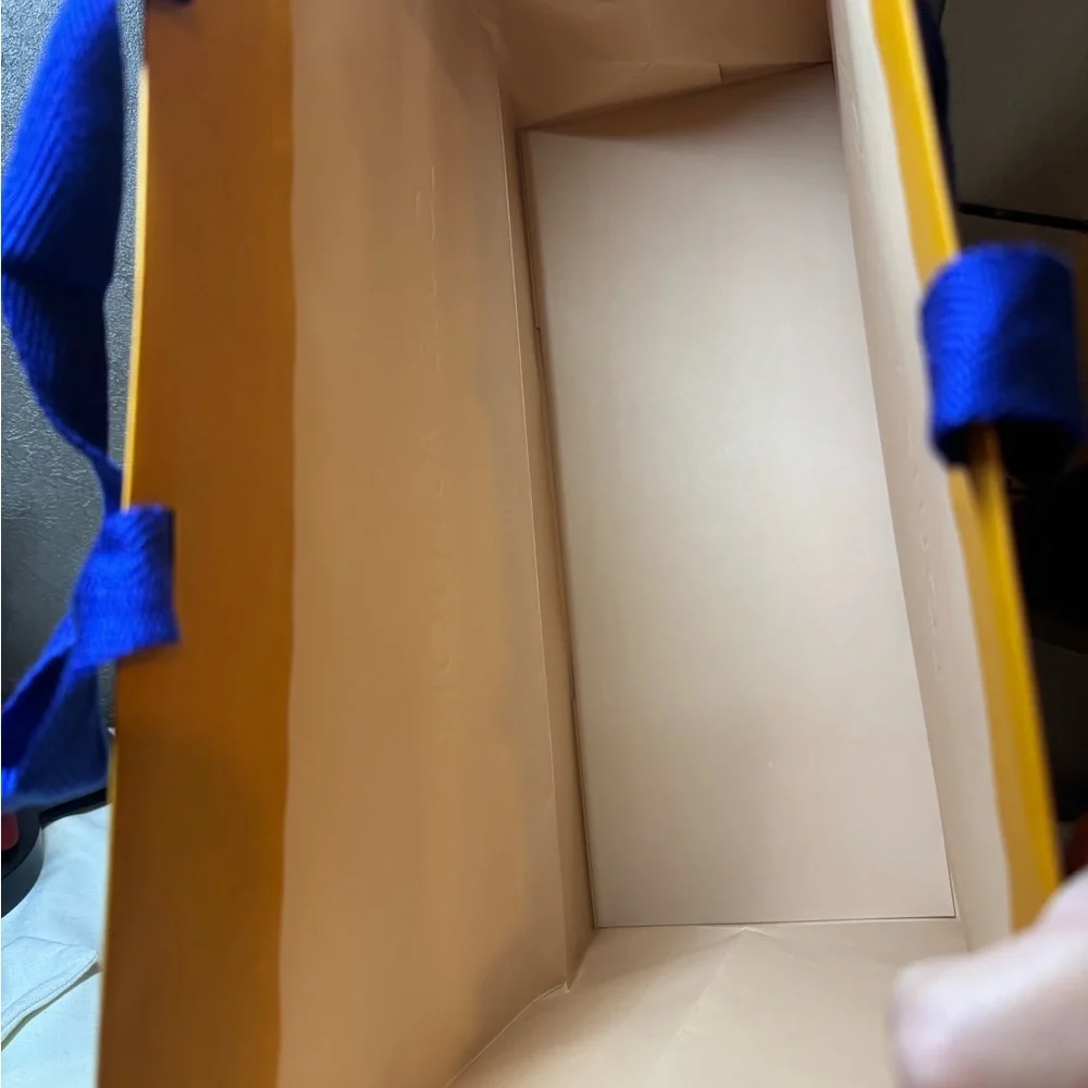 Louis Vuitton gift bag